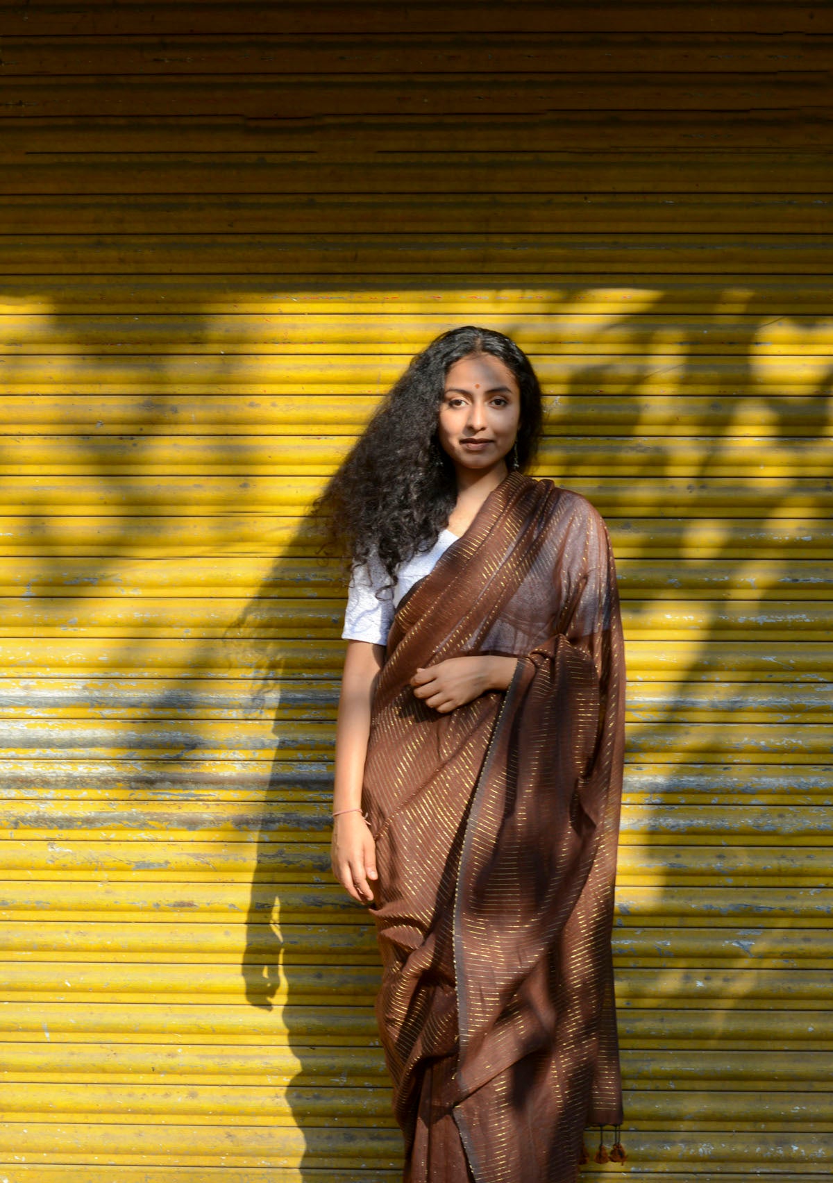 Coffee Colour Zari Lines Saree